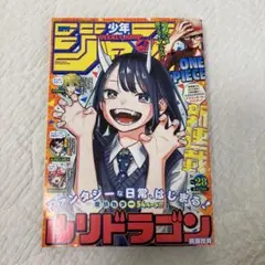 週刊少年ジャンプ　2022年　no.28　巻頭カラー　ルリドラゴン　新連載