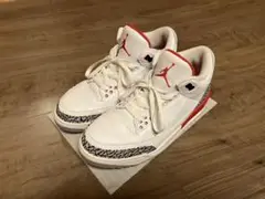 Air Jordan 3 今日だけ値下げ