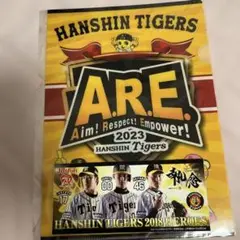 阪神タイガース　ジョーシンコラボ　ステッカー＆クリアファイル　未使用