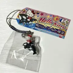 超レア⭐️水族館限定シャチに乗ったキティ根付⭐️2004年 超レア⭐️水族館限定シャチに乗ったキティ根付⭐️2004年