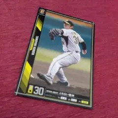 Item thumbnail for item 421d81fa-3c07-4b43-8a7e-6859c545a279