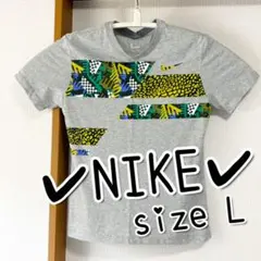 Nike Dri-FIT Tシャツ グレー LGG Lサイズ相当