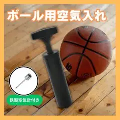 空気入れ ボール コンパクト 軽量 ハンドポンプ 金属針付き バスケ バレー