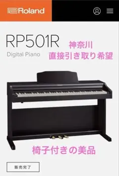 2025年最新】roland rp501rの人気アイテム - メルカリ
