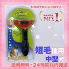 Item thumbnail for item ce9c2012-a160-40ac-853c-ed9b5cd478c1