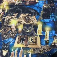 輸入生地 Mystical Spooky Black Cats