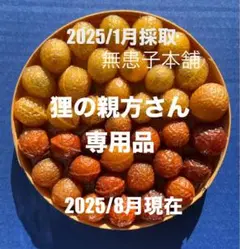 無患子本舗　ムクロジの果実200個