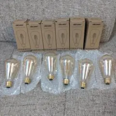 DiCUNO LED E26口金 エジソン電球 6W フィラメント　6個