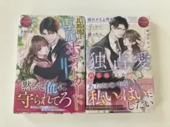 エタニティ文庫 2冊セット