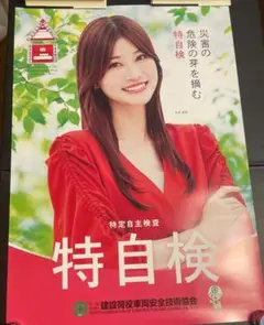 生見愛瑠さん ポスター 3枚