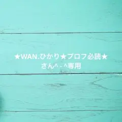 ★WAN.ひかり★プロフ必読★さん^ - ^専用
