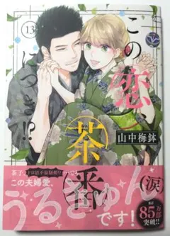 この恋、茶番につき!?13