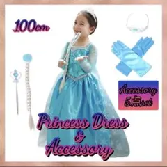 100cm ドレス 単品 ディズニー アナ雪 エルサ 風 プリンセス コスプレ