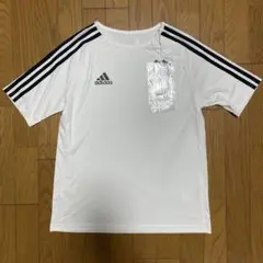 Item thumbnail for item 98e72169-f440-4456-91a4-dcf99211597b