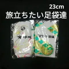 Item thumbnail for item 4bae1231-a0e1-425f-ab28-f918a5593a59