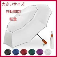 Item thumbnail for item 4a51cc4f-b9da-4557-bcf7-5f7a1428cb8b