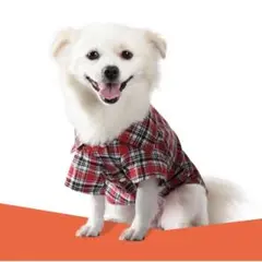 Item thumbnail for item 53556935-0719-4c32-8c9e-bbe3adcde658