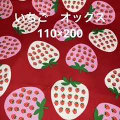 いちご柄の赤オックス　110×200