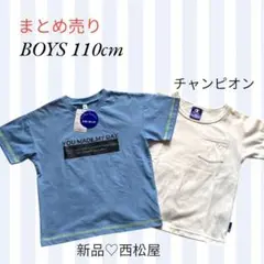 【まとめ売り】半袖Tシャツ2枚組 110cm 西松屋&チャンピオン