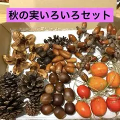 Item thumbnail for item d713d710-b26f-4a45-a6bd-2453c4931d59
