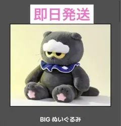 ZO&FRINDS BIGぬいぐるみ　g-dragon