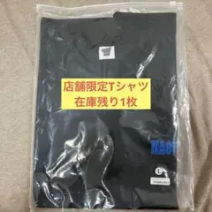 【新品未使用】ナスティードッグ CastleTシャツ 店舗限定 Lサイズ