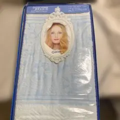 ロフテー 水色 タオルシーツ