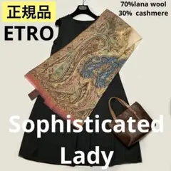 洗練されたデザイン　ETRO 正規品　大判ショール　 希少　カシミヤ100％ ETRO - 洗練されたデザイン ETRO 正規品 大判ショール カシミヤ
