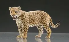 カプセルQミュージアム　WILD RUSH 真・世界動物誌Ⅱ ジャガー