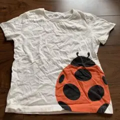 テントウムシプリント Tシャツ 130サイズ　無印良品