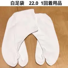 Item thumbnail for item 0d27037f-08c2-4f0d-a876-48720d1d139d