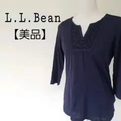 Item thumbnail for item 1e090dd7-5078-4ff2-9dba-4d4823e881d6