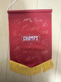 千葉ジェッツ　2022-23シーズン天皇杯優勝タペストリー