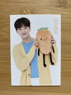 seventeen hoshi ホシ トレカ