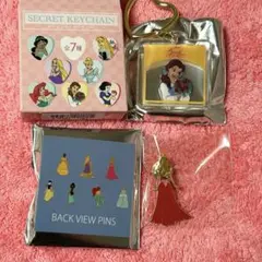 ディズニープリンセス シークレットグッズ まとめ売り