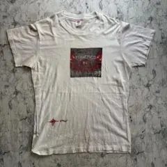 古着　70s hanes フラッグタグ　プリント tシャツ あメリカ製