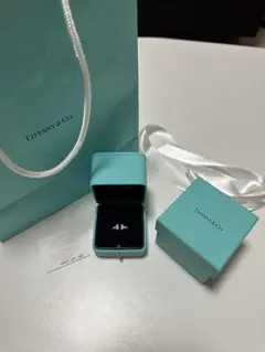 Item thumbnail for item 7ee64605-9277-4ce0-8f6f-fef752a00163