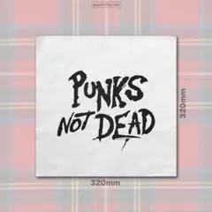 ☆セディショナリーズ風 洋服リメイク☆PUNKS NOT DEAD ゼッケン！