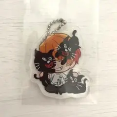 キヨ アクキー シークレット