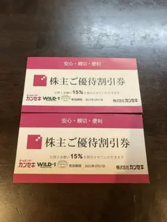 カンセキ 株主優待割引券 2枚組 最新
