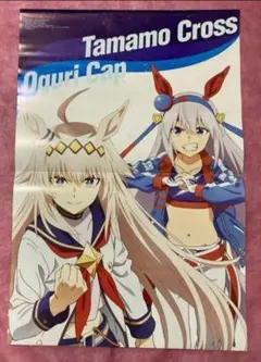 ウマ娘 シンデレラグレイ ウィッチウォッチ 雑誌ニュータイプ ポスター