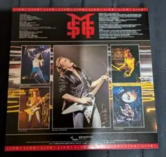MSG ROCK WILL NEVER DIE