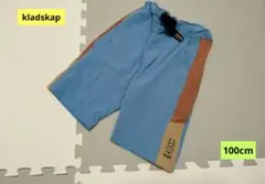 kladskap☓クワガタ