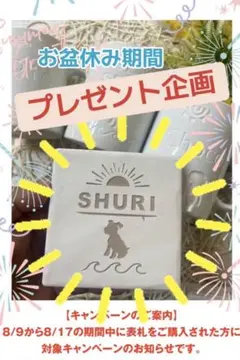 プレゼント企画