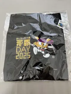 那覇DAY 2025 オリジナルサコッシュ　巨人　広島　7/5 限定