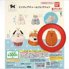 Maison terrier ミニチュアチャームコレクション