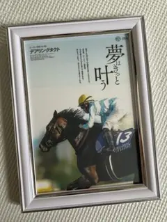 Daring Tact デアリングタクト JRA競馬　写真　額縁セット　ポスター