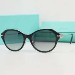 Item thumbnail for item 90830d1d-9a4a-4e6c-96c8-afed09aa75db