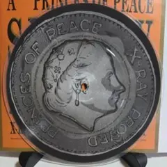 Princes Of Peace X-Ray Proved パンク天国