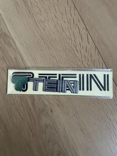 TEIN ロゴ ステッカー　シール　車
